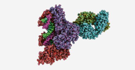 «La science, influencée par des croyances?» // www.revuehemispheres.com