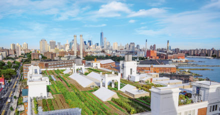 Les fermes urbaines, une agriculture multifonction // www.revuehemispheres.com